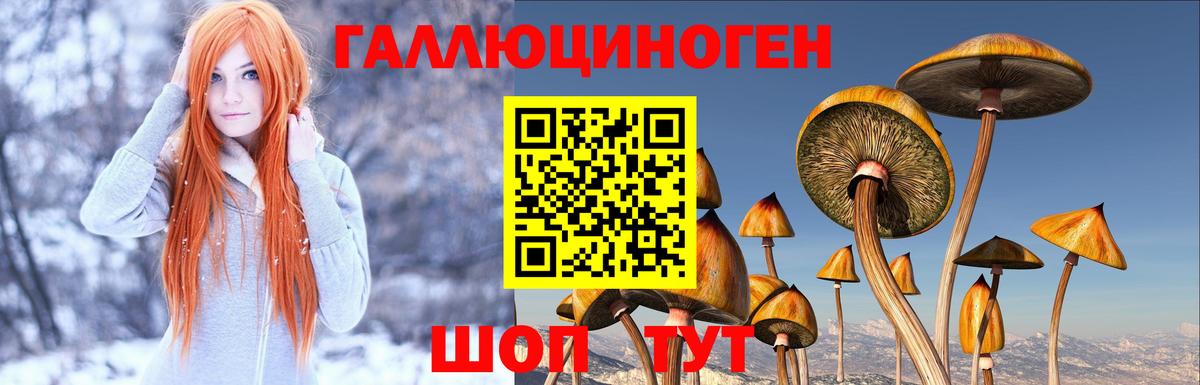 Псилоцибиновые грибы прущие грибы  Псилоцибиновые грибы Cubensis  Севастополь  Вход с VPN 